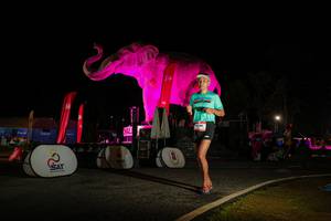 BIB: 
                            <button type="button" onclick="openModal(26533957)" class="btn btn-primary btn-sm float-right btn-popup" data-toggle="modal" data-target=".modal-high-quality">
                        <i class="fas fa-shopping-cart"></i> Add to Cart
                    </button>
                                            <button type="button" onclick="isThisMe(26533957, true)" class="btn btn-success btn-sm float-right btn-popup btn-isme hidden" data-toggle="tooltip" data-placement="bottom" title="นี่คือรูปของคุณใช่ไหม คลิกที่นี่เพื่อเอาเข้าอัลบั้ม">
                        <i class="fas fa-plus"></i> Add to album
                    </button>
                    <button type="button" onclick="isThisMe(26533957, false)" class="btn btn-warning btn-sm float-right btn-popup btn-isnotme hidden">
                        <i class="fas fa-ban"></i> Remove from album
                    </button>